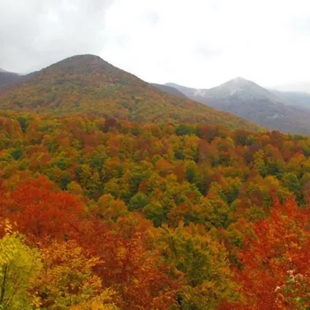 Bed and breakfast Fiume