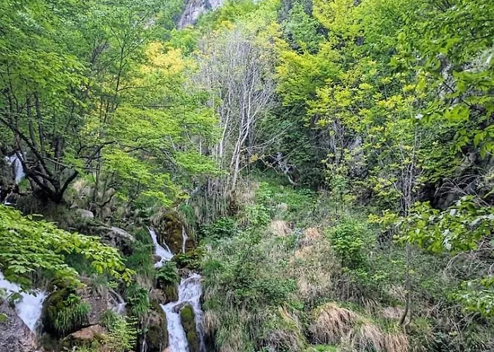 Fiume Bed & Breakfast