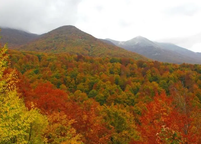 לינה וארוחת בוקר Fiume